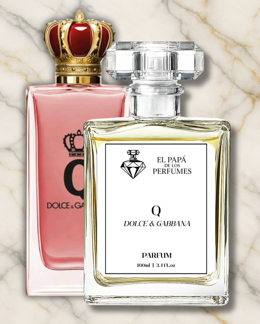 Inspirado en Q – Dolce & Gabbana
